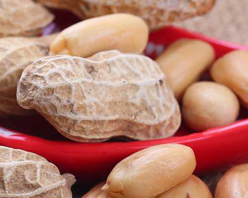 怎样怀孕（备孕知识全介绍）