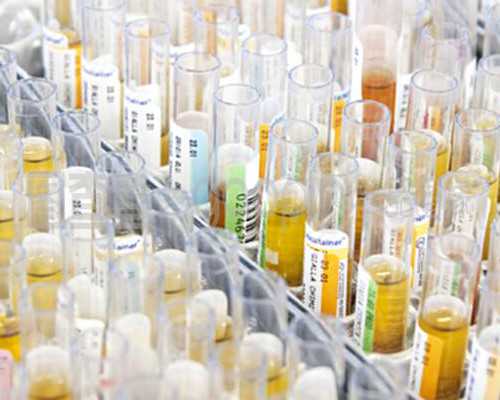 有没有供卵成功的姐妹&不孕老医生,备孕知识常用小技巧-女性男性都适用