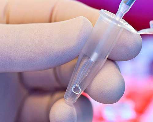 四十六岁供卵移植成功率&卵巢早衰怀孕概率,试管前3个月如何调理？高龄的你备