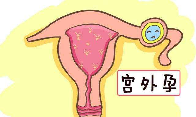 重庆最专业的代孕网 重庆妇幼保健院试管婴儿成功率高吗? ‘22周男宝宝的小鸡b超怎么看’